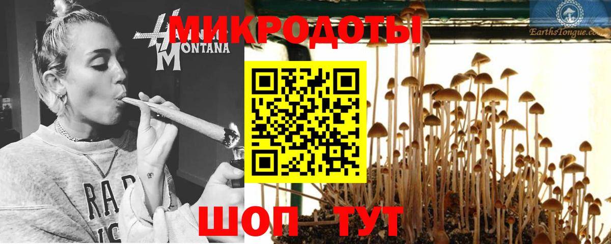 Галлюциногенные грибы GOLDEN TEACHER  Галлюциногенные грибы ЛСД  наркота  Курчатов  Вход с VPN 